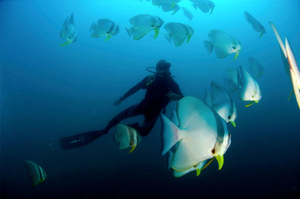 menyelam di tioman dive centre