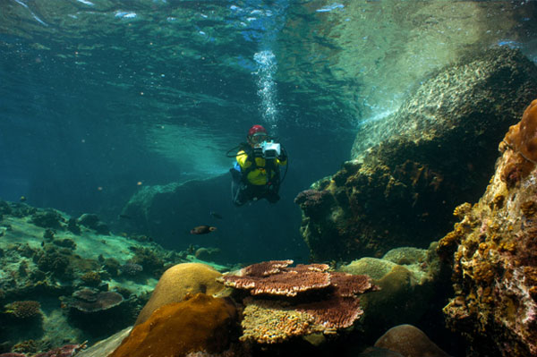 petualangan snorkeling di pulau tioman