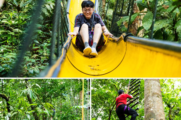 skytrex landscape