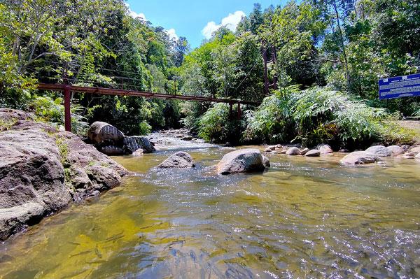 sungai landscape 4