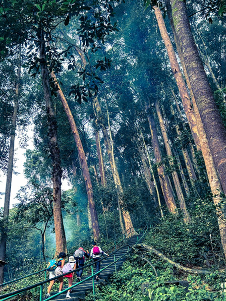 swimming and hiking at kanching waterfall potrait1