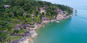 Jelajahi Taman Nasional Bako, Rumah Satwa Langka dan Pantai Eksotis