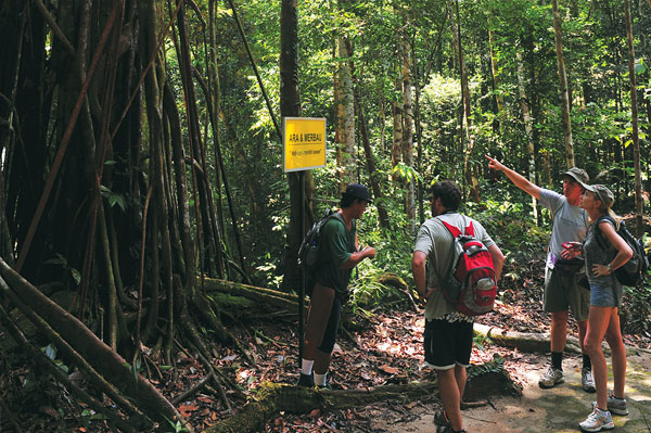 pendaki chemerong–berembun–langsir