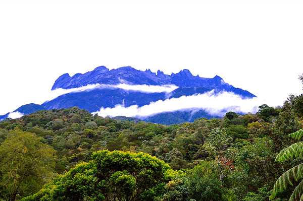 taman kinabalu