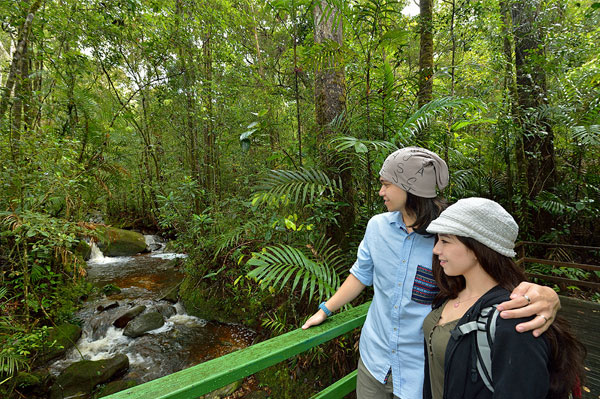 taman kinabalu 
