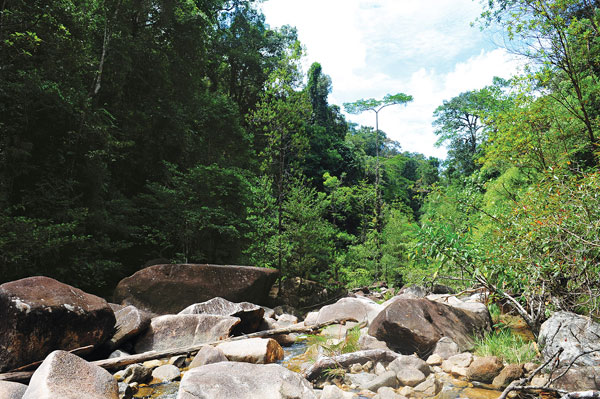 track chemerong–berembun–langsir