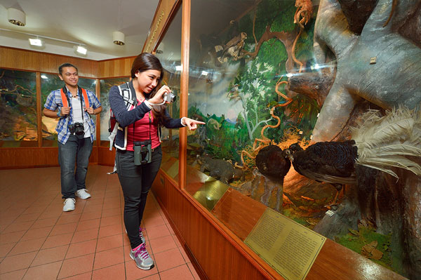 wisata taman kinabalu