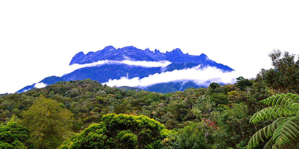 cover kinabalu park