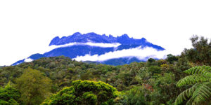 Jelajahi Kinabalu Park, Surga Alam di Kaki Gunung Kinabalu