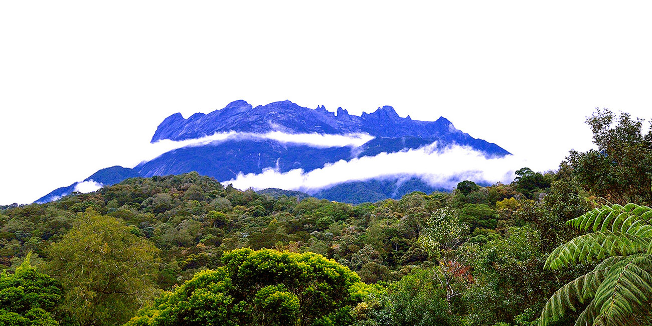cover kinabalu park