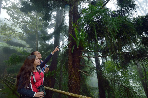 kinabalu park laandscape 3