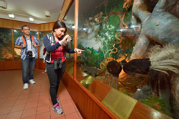 kinabalu park landscape 2