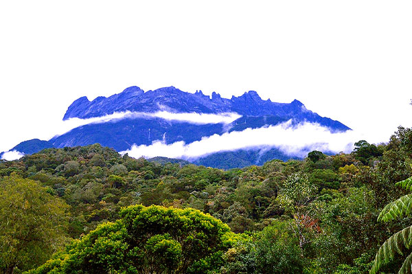 kinabalu park landscape 4