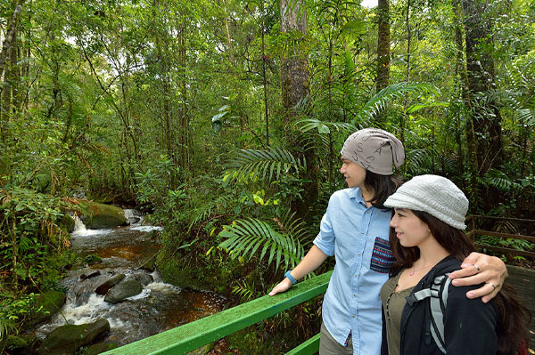 kinabalu park landscape1
