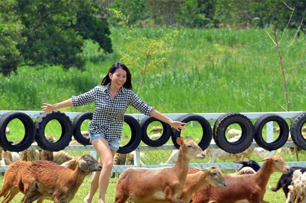 johor bahru uk farm