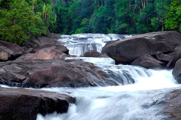 taman negara endau rompin